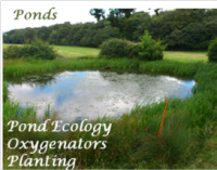 pond surveys and water quality testing